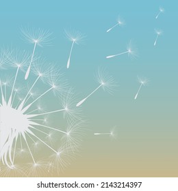 Ilustración vectorial de la hora del diente de león. Semillas de Dandelion blancas y hermosas que soplan en el viento. El viento infla un diente de león aislado en un fondo editable.