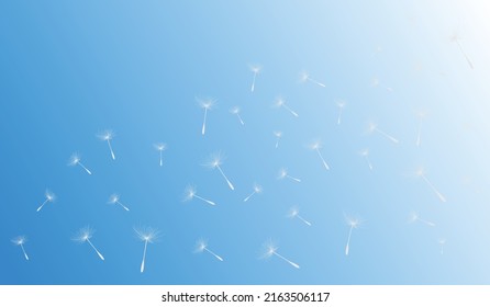 Vector illustration of dandelion time. White Beautiful Dandelion seeds blowing in the wind. The wind inflates a dandelion isolated in editable blue sky background.