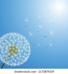 Vector illustration of dandelion time. White Beautiful realistic Dandelion seeds blowing in the wind. The wind inflates a dandelion isolated in editable blue sky background.