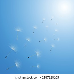 Vector illustration of dandelion time. White Beautiful realistic Dandelion seeds blowing in the wind. The wind inflates a dandelion isolated in editable blue sky background.