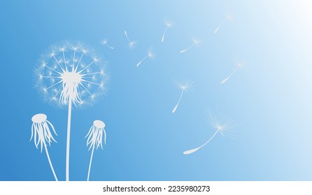 Vector illustration of dandelion time. White Beautiful Dandelion seeds blowing in the wind. The wind inflates a dandelion isolated in editable blue sky background.