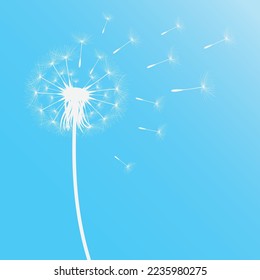 Vector illustration of dandelion time. White Beautiful Dandelion seeds blowing in the wind. The wind inflates a dandelion isolated in editable blue sky background.