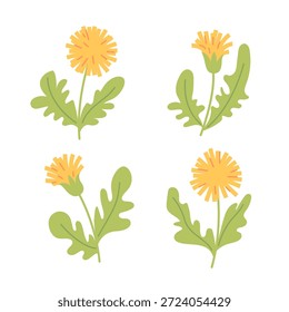 Vector illustration of dandelions in a clean simple style. Minimal botanical design perfect for nature-themed graphics, prints, and modern decorative projects.