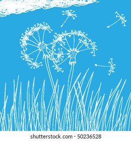 Vector illustration of a dandelions and a few floating seedlings against a sky blue background