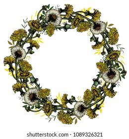 Vector illustration dandelions with leaves flower meadow. Summer flower natural season beautiful yellow dandelion.