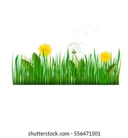 Vector illustration dandelions with leaves flower meadow. Summer flower natural season beautiful yellow dandelion. Dandelion vector icon blowing garden botany floral logo.