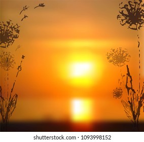 Vector illustration. Dandelions on the background of summer sunset. Stock image