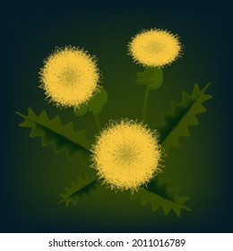 Vector illustration with dandelions on a dark background