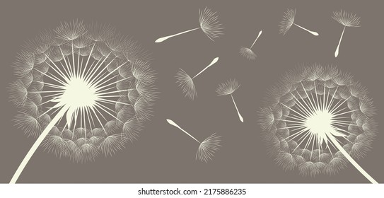 Vector illustration of dandelions on a dark background background.
Silhouette with flying dandelion buds. EPS10 for wall decor,  wallpaper,  postcards, posters etc. Wall art for decor. 
