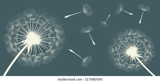 Vector illustration of dandelions on a dark background.
Silhouette with flying dandelion buds. EPS10 for wall decor,  wallpaper,  postcards, posters etc. Wall art for decor. 