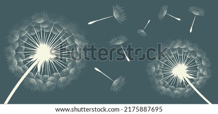 Similar – Image, Stock Photo dandelion Dandelion Plant