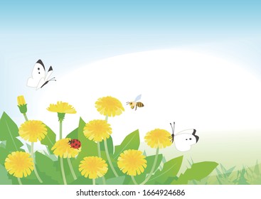 Vector Illustration | Dandelions & Spring insects