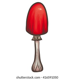 Vector illustration with dangerous mushroom on white background. Bad mushroom for health.