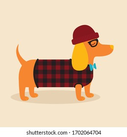 A vector illustration of a dapper hipster dachshund dog wearing a hat, glasses, flannel and a bowtie looking snobby