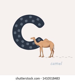 Vector illustration. Dark blue letter C with camels footprints, a cartoon camel. Animal alphabet.