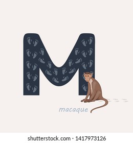 Vector illustration. Dark blue letter M with macaque's footprints, a cartoon macaque. Animal alphabet.