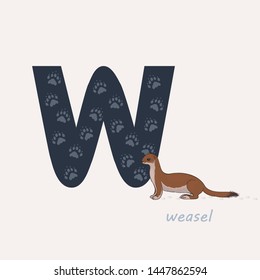 Vector illustration. Dark blue letter W with weasel tracks, a cartoon weasel. Animal alphabet.