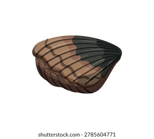Vector illustration of a dark and light brown striped clam shell.