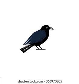 Vector illustration of dark raven. 