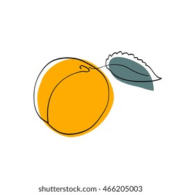 Vector illustration Dark yellow apricot with leaf