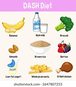 Vector illustration of DASH diet foods including fruits, grains, and proteins. Bright colors and simple composition enhance clarity