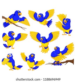 vector illustration of the dashing parrots with the gold accent
