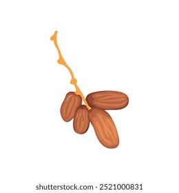 Vector Illustration of Dates Fruit for Ramadan