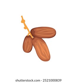 Vector Illustration of Dates Fruit for Ramadan