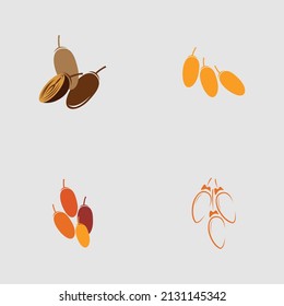 ilustración vectorial del diseño del conjunto Fruits de fechas 
