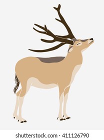 Vector illustration - David's deer (milu, elaphure) 