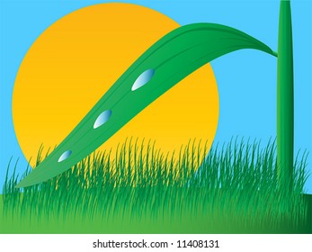 Vector Illustration of Day Sky Floral Background
