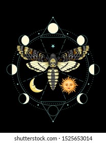 Vector illustration of death head hawk moth