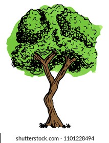 vector illustration of a deciduous tree sketched by hand