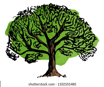 vector illustration of a deciduous tree sketched by hand