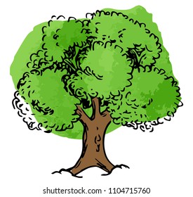 vector illustration of a deciduous tree sketched by hand