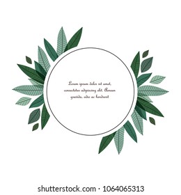 Vector illustration of decoration leaves. Nature background with a text frame