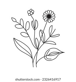 Vector Illustration: Decorative Autumn and Summer Flower Foliage