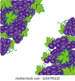 Vector illustration of the decorative background from ripe grape on branch