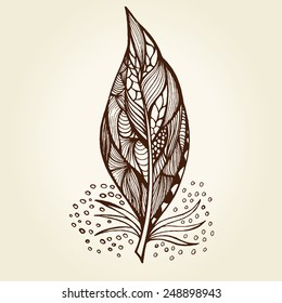 Vector illustration of Decorative feather. Hand drawn vector illustration