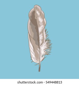 vector illustration of decorative feather isolated on blue background