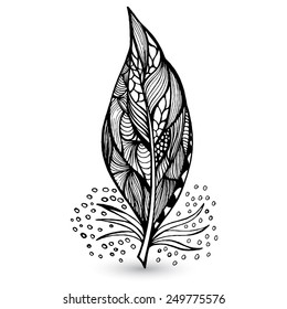 Vector illustration of Decorative feathers. Hand drawn vector illustration