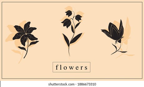 Ilustración vectorial de flores decorativas y plantas en negro. EPS 10