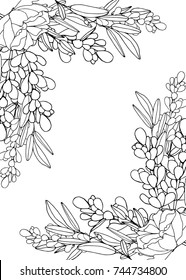  Vector illustration decorative frame. Doodle flower pattern black and white isolated on white background. Coloring page design with  flowers and space for text.