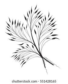 Vector illustration decorative grass on a white background, abstract meadow element.