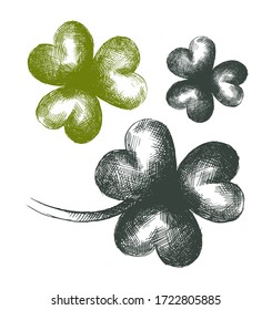 Vector illustration with decorative hatched clover. Green trefoil with stem for packaging design and greeting products. Artwork for St. Patrick's Day painted in black ink. Sketch for tattoo.