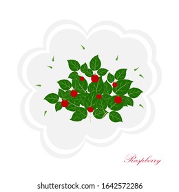 Vector illustration of a decorative isolated raspberry Bush with leaves on a white background