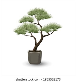 Vector illustration of a decorative niwaki bonsai tree on a white background. Garden bonsai niwaki with green pine thorns on a pine. Decorative trimming and pruning of trees and shrubs