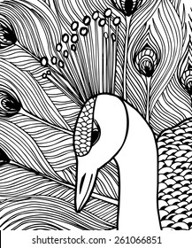 Vector illustration of Decorative ornamental peacock. Doolle style