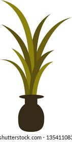 Vector illustration of a decorative plant