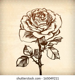 vector illustration of decorative plant flower. illustration drawn with ink and brush. texture of paper and blots